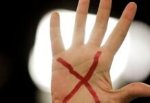 Pernambuco lidera ranking de mortes em casos de violência contra mulher em 2025, diz Observatório de Segurança