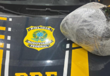 PRF apreende mais de 5kg de maconha embaixo de estepe de carro em Petrolina (PE)