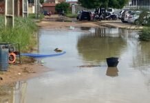 Chuvas superam média histórica em Petrolina (PE); em sete dias foram 150 mm