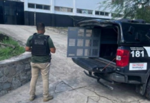 Dois suspeitos são presos e sete mandados de busca são cumpridos durante ação na região de Jacobina (BA)