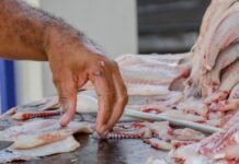 Vigilância Sanitária de Petrolina reforça orientações sobre compra de pescado na Semana Santa