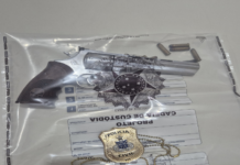 Revólver furtado em Juazeiro (BA) é recuperado pela Polícia Civil