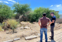 Na primeira semana de março, Petrolina (PE) registrou 38 denúncias relacionadas a terrenos baldios irregulares