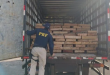 Nove toneladas de peixe são apreendidas em caminhão no interior da Bahia