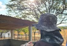 Adagro realiza padronização de procedimentos de fiscalização nos 184 municípios de Pernambuco