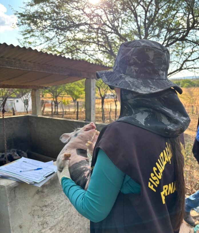 Supervisãocampo (4)