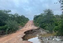 Santa Maria da Boa Vista (PE): Açude transborda em Urimamã e destrói rede elétrica