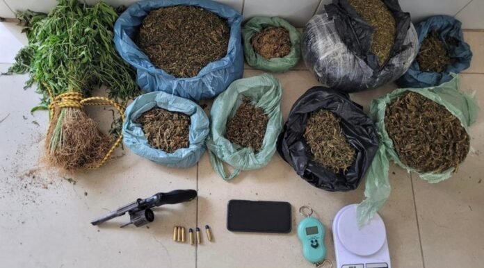 WhatsApp Image 2026-04-09 at 21.02.48