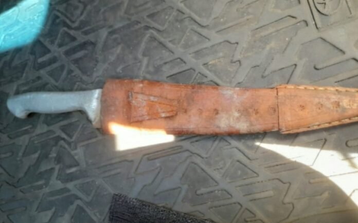 WhatsApp Image 2026-04-11 at 15.39.07