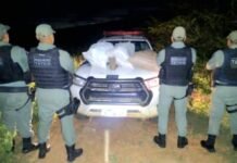 Polícia Militar apreende maconha no Projeto N-4 em Petrolina (PE)