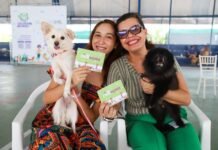 Petrolina (PE): Mutirão oferece castração de cães e gatos a partir do dia 28 de abril