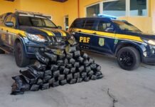 Dois homens são presos com 51 Kg de “supermaconha” em Petrolina (PE)