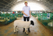 Simão Durando celebra ExpoRajada com mais de R$ 1 milhão em vendas e recorde de participação