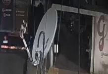 Ex-vereador suspeito de envenenar cães e gatos em Paulistana (PI) foi preso em Petrolina (PE)