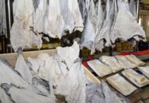 Consumidor deve ficar atento à qualidade do bacalhau na Semana Santa