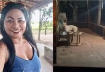 Mulher morre após ser atacada pelo próprio pitbull