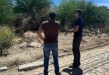 Petrolina (PE): Falta de manutenção em terrenos pode gerar multas de R$ 500 a R$ 100 mil reais nos proprietários