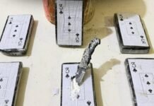 Operação Caçador apreende quase 6kg de cocaína em Juazeiro (BA)