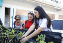 Petrolina (PE): Carro da Planta percorre as ruas do bairro Maria Auxiliadora nesta quarta-feira (29)