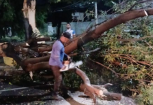 Juazeiro (BA) registra diversas ocorrências relacionadas às chuvas