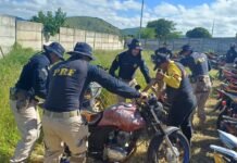 PRF recupera 214 veículos durante Operação Pátio Limpo em Pernambuco