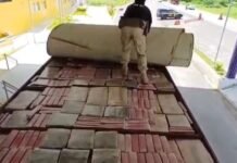 PRF apreende quase 2 toneladas de maconha escondidas em teto de caminhão entre Petrolina (PE) e Juazeiro (BA)