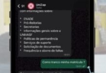 Estudantes da Univasf criam chatbot com IA para facilitar acesso a informações acadêmicas