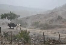 Alerta desta terça (21) aponta risco de perigo para chuvas em quatro municípios de Pernambuco; Bodocó (PE) e Araripina (PE) na lista