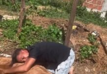 Vaqueiro se despede de seu cavalo e momento emociona