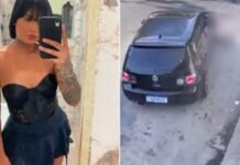 Homem preso por atropelar e arrastar mulher por 1 km na Marginal Tietê vai a júri popular