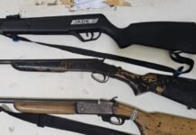 PM e INEMA combatem caça predatória na zona rural de Juazeiro (BA)