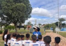 Petrolina (PE): Programa Escola Amiga da Árvore incentiva consciência sustentável entre estudantes