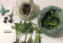 Polícia Militar apreende drogas no bairro Antônio Cassimiro em Petrolina