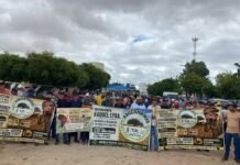 Protesto: Agricultores prejudicados por demarcação da Reserva Ambiental de Vida Silvestre Tatu Bola seguem para Ponte Presidente Dutra