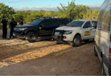 Polícia Federal e Instituto Chico Mendes deflagram operação para proteger ararinhas-azuis ameaçadas de extinção em Curaçá (BA)