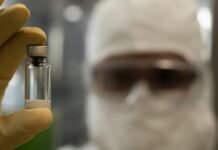 Anvisa autoriza produção nacional da vacina contra a chikungunya