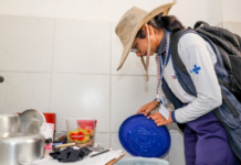 Resultado do 3º LIRAa aponta Petrolina (PE) com baixo risco para o Aedes aegypti, mas alguns bairros seguem em alerta