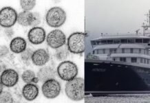 Canadá confirma primeiro caso de hantavírus ligado a cruzeiro; surto no navio já soma 12 infecções
