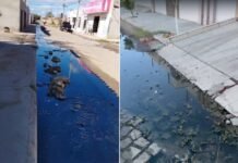 “E esse rio de merda correndo em Petrolina?”; morador desabafa sobre os ‘rios de esgoto’ na cidade