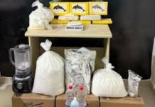 Petrolina (PE): Polícia desarticula laboratório de refino de drogas e apreende mais de 14 kg de cocaína