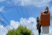 São João de Petrolina (PE): comerciantes e ambulantes já podem solicitar ligações provisórias de energia