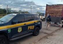 PRF e IBAMA apreendem 165 m³ de madeira ilegal em Petrolina (PE), Salgueiro (PE) e Serra Talhada (PE)