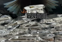 Polícia realiza prisão por tráfico interestadual de drogas e apreende 30 kg de maconha na Ponte Presidente Dutra
