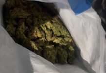 PRF apreende droga semelhante a skunk, após acidente de trânsito em Arcoverde (PE)