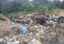 Violência em Petrolina: Dois homens são encontrados mortos em estrada no Projeto N-9