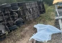 Sete atletas de time de basquete morrem em acidente de ônibus no Ceará