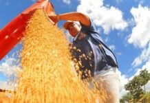 El Niño pode pressionar inflação, elevar conta de luz e provocar perdas na agropecuária pernambucana