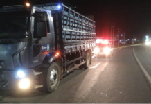 Caminhão boiadeiro atuará na retirada de animais de grande porte durante o São João de Petrolina (PE)