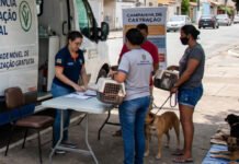 Sem resposta da Prefeitura, Ministério Público notifica gestão e pede funcionamento do Castramóvel em Cabrobó (PE)