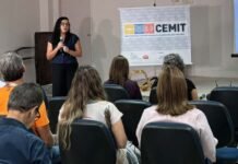 Pernambuco: 1ª etapa de monitoramento prevê captura e marcação de 50 tubarões a partir de julho, diz Cemit